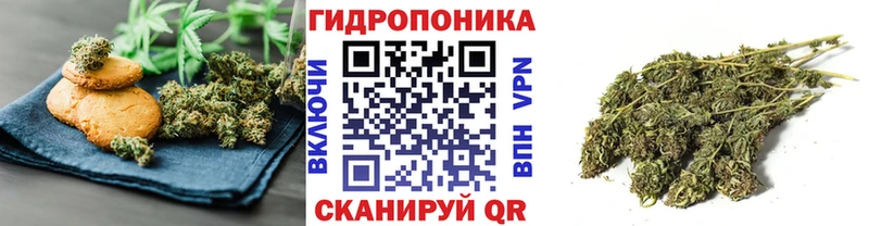 даркнет сайт  Асино  Печенье с ТГК марихуана 