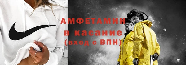 сатива Арсеньев