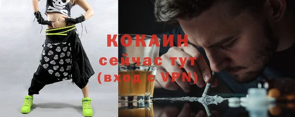 сатива Арсеньев