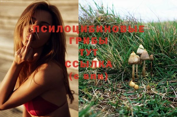 наркотики Аркадак