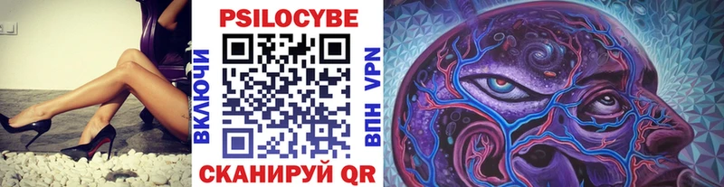 Псилоцибиновые грибы Cubensis  Асино 