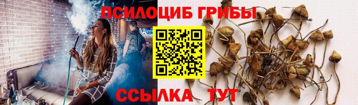Псилоцибиновые грибы мухоморы  Вход с VPN  Асино 