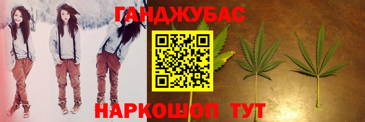 Бошки Шишки планчик Асино